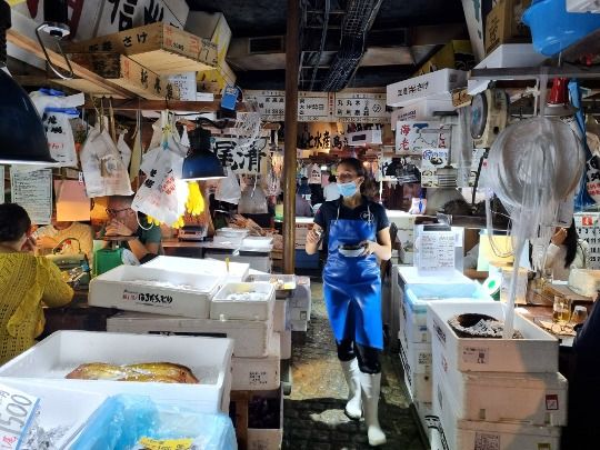 Kodowari Tsukiji Japonais Paris